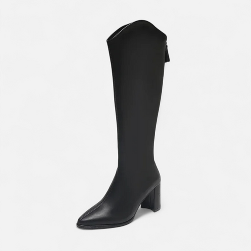 Botas de Salto Alto para Mulheres com Zíper até o Joelho Preto