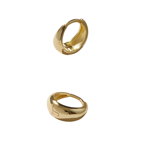 Brincos Quiaura No. 1001