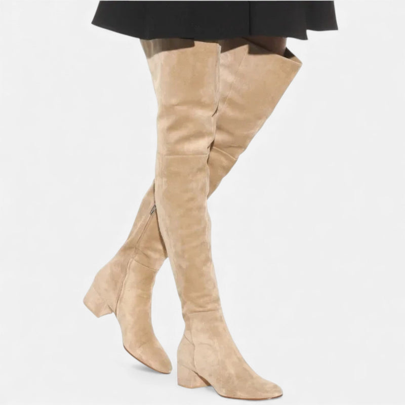 Botas de Inverno em Camurça Sintética para Mulheres, Acima do Joelho