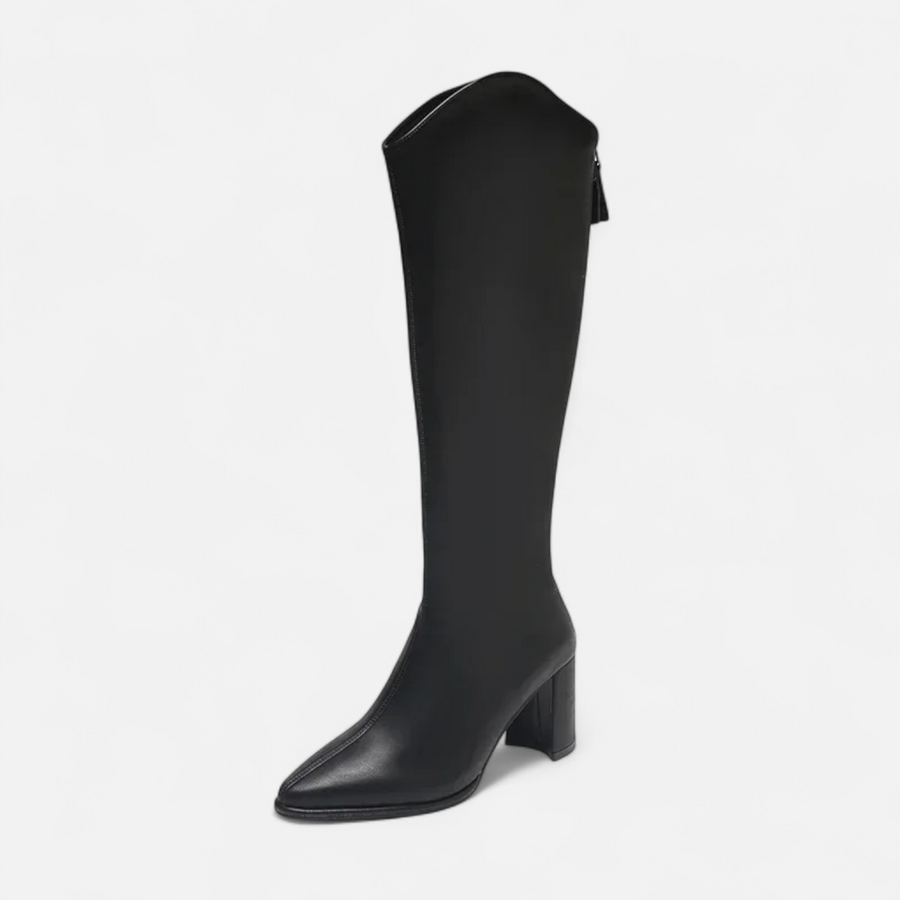 Botas de Salto Alto para Mulheres com Zíper até o Joelho Preto