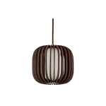 Luminária Pendente: O Encanto do Cartão ø20cm