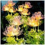 Luminária externa Flores Encantadas de Fada