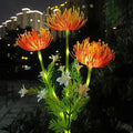 Luminária externa Flores Encantadas de Fada