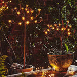 Luminária externa de Funcho Selvagem (conjunto com 6)