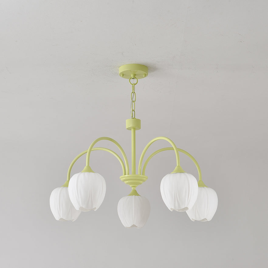 Lustre Tulipa Matcha
