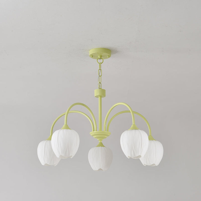 Lustre Tulipa Matcha