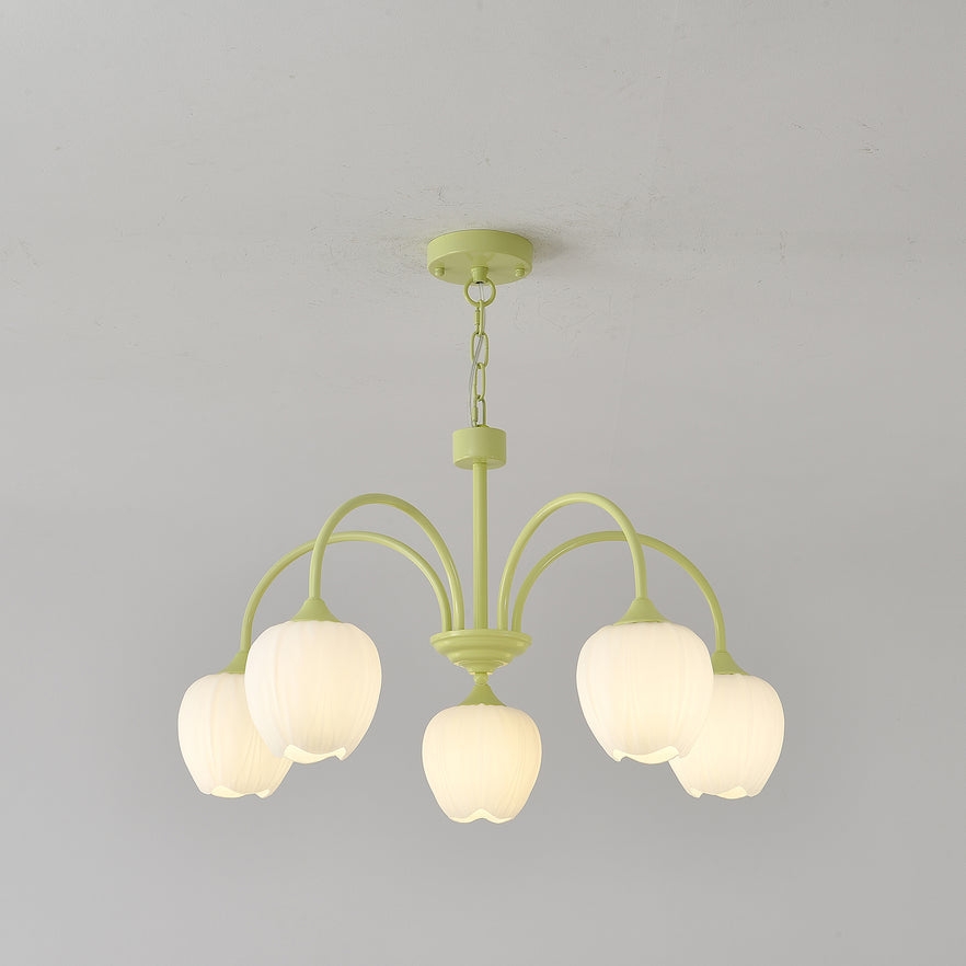 Lustre Tulipa Matcha
