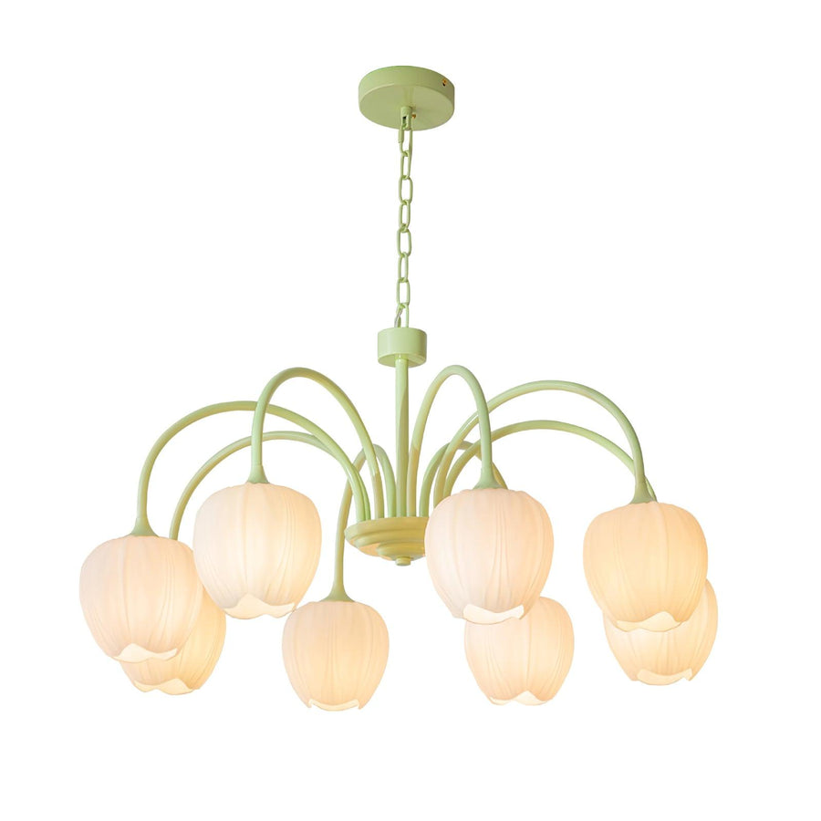 Lustre Tulipa Matcha
