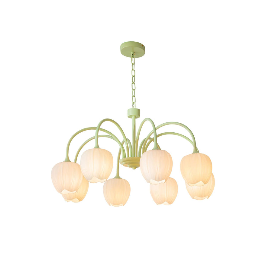 Lustre Tulipa Matcha