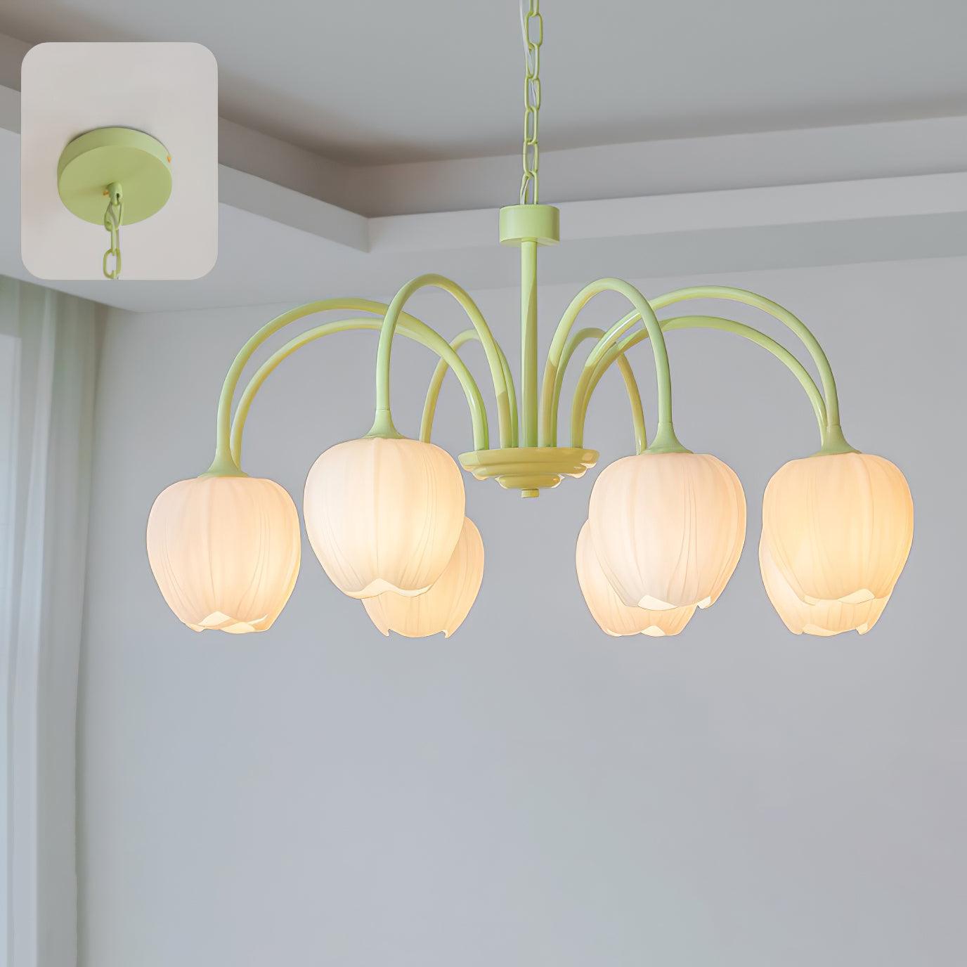 Lustre Tulipa Matcha