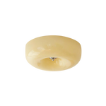 O Haloir
