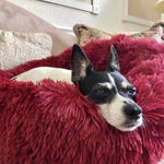 LuxuryPuff- Cama para cachorro e gato ultra macia
