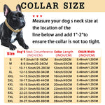 Corrente para cachorros Descolados DogDrip®