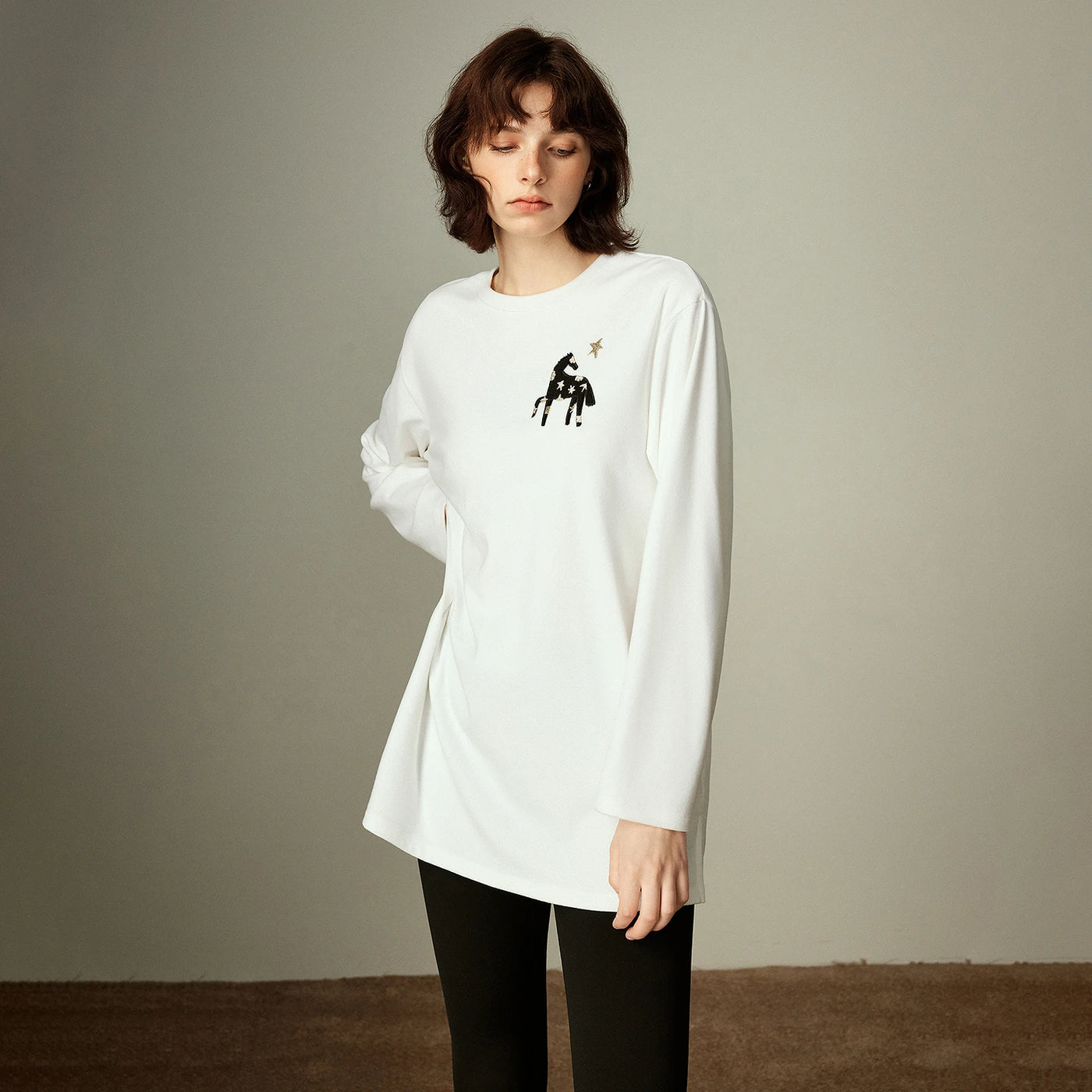 Blusa Feminina Manga Longa com Bordado Cavalo