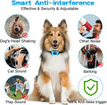 Coleira educativa inofensiva Ultrasonica Sem Choque - PetTraining®
