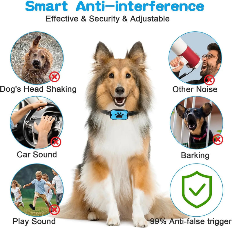 Coleira educativa inofensiva Ultrasonica Sem Choque - PetTraining®