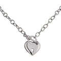 Yhpup Romantic Heart Lock Pendant Stainless Steel Necklace for Women Temperament Metal Texture 18 K Plated Choker Charm Jewelry YH157A steel
