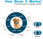 Coleira educativa inofensiva Ultrasonica Sem Choque - PetTraining®