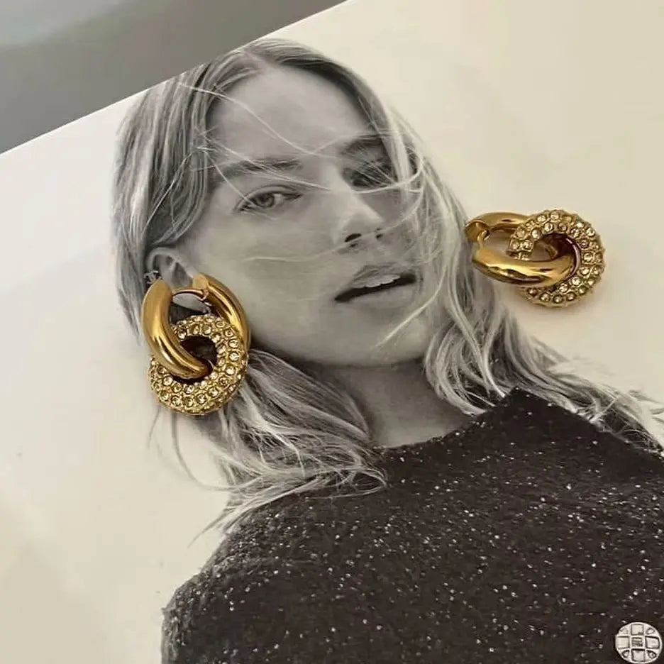 Argola Círculos Duplos com Zircônia em Aço Inoxidável