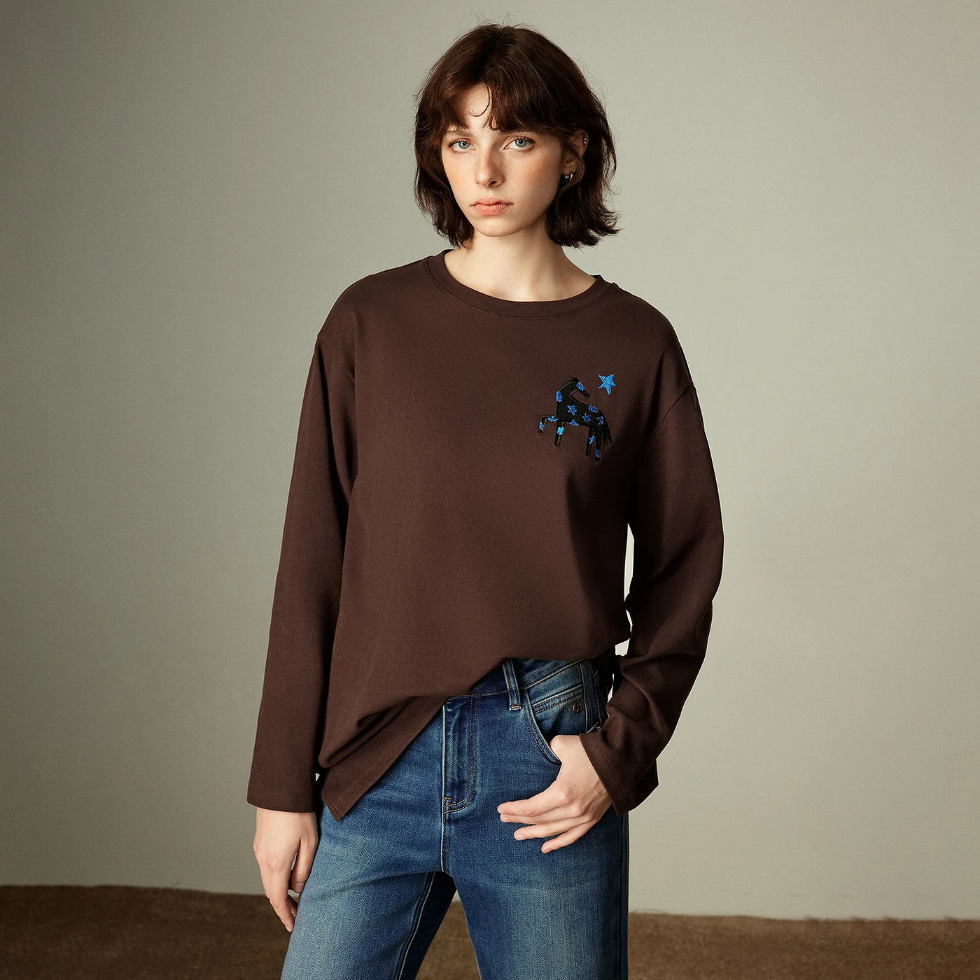 Blusa Feminina Manga Longa com Bordado Cavalo