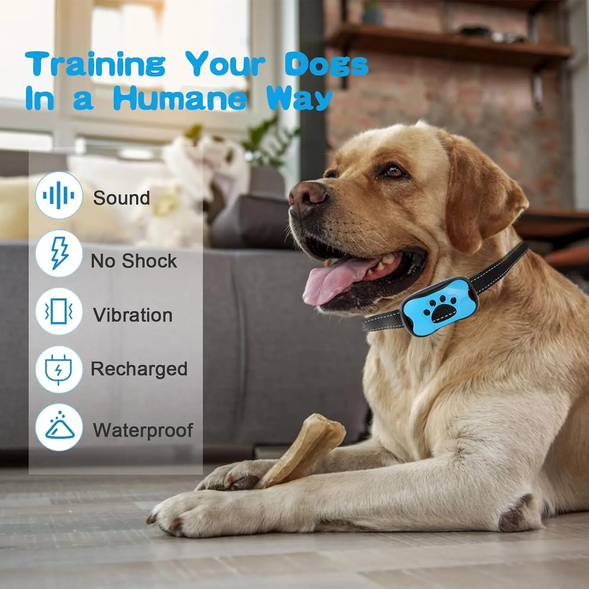Coleira educativa inofensiva Ultrasonica Sem Choque - PetTraining®