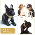 Corrente para cachorros Descolados DogDrip®