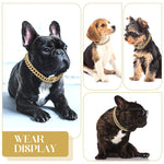 Corrente para cachorros Descolados DogDrip®