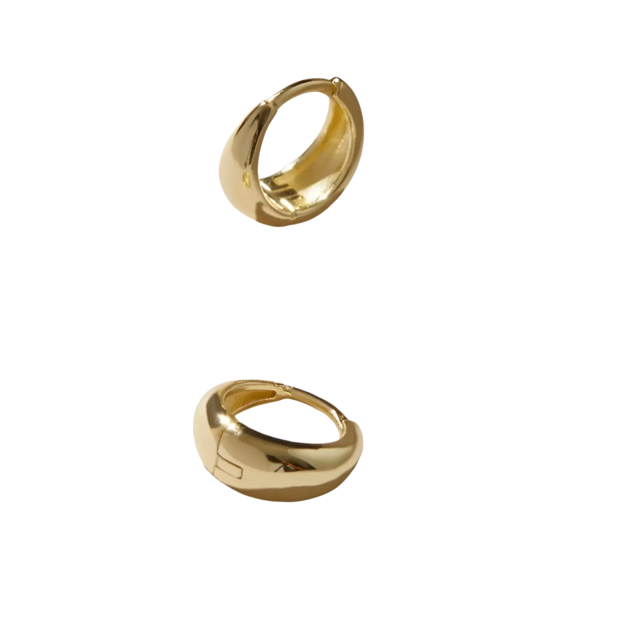 Brincos Quiaura No. 1001