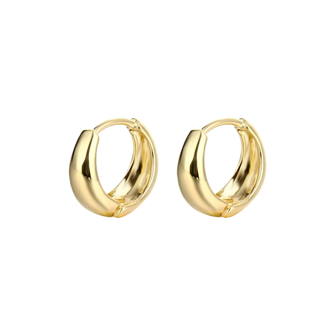 Brincos Quiaura No. 1001