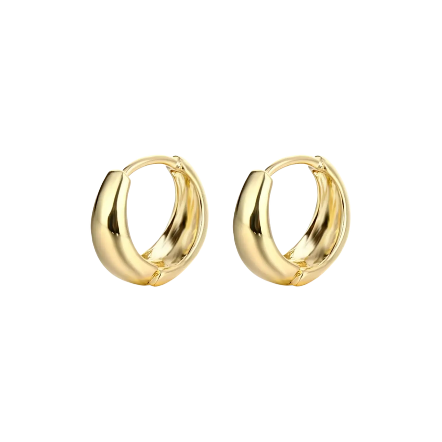 Brincos Quiaura No. 1001