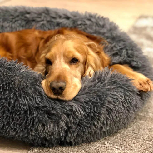 LuxuryPuff- Cama para cachorro e gato ultra macia