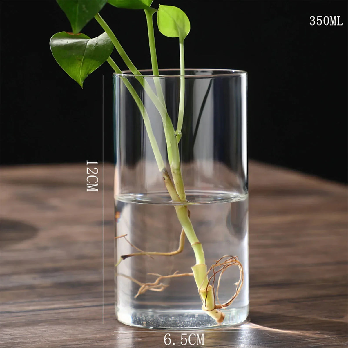 Vaso Decorativo Vidro, peça de vasos decorativos da VivaCasa — imagem 11