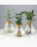 Vaso Decorativo Vidro, peça de vasos decorativos da VivaCasa