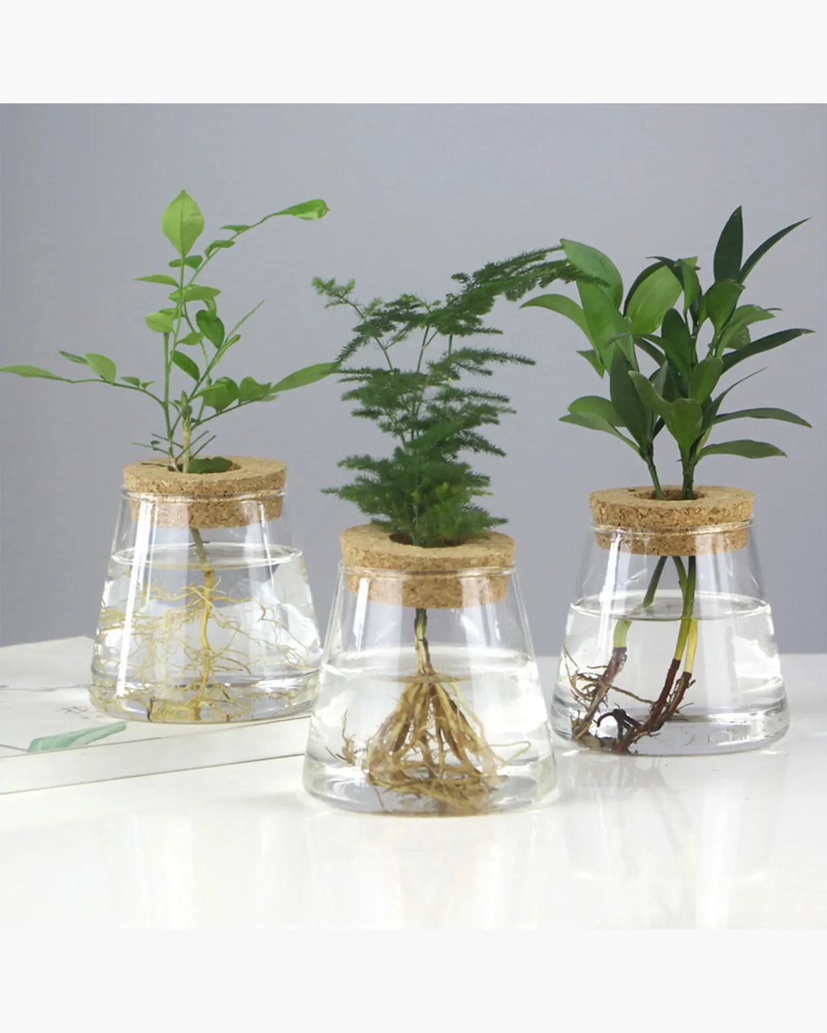 Vaso Decorativo Vidro, peça de vasos decorativos da VivaCasa