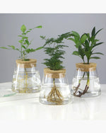 Vaso Decorativo Vidro