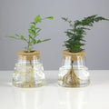 Vaso Decorativo Vidro, peça de vasos decorativos da VivaCasa — imagem 2