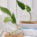 Vaso Decorativo Vidro, peça de vasos decorativos da VivaCasa — imagem 5