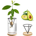 Vaso Decorativo Vidro, peça de vasos decorativos da VivaCasa — imagem 6