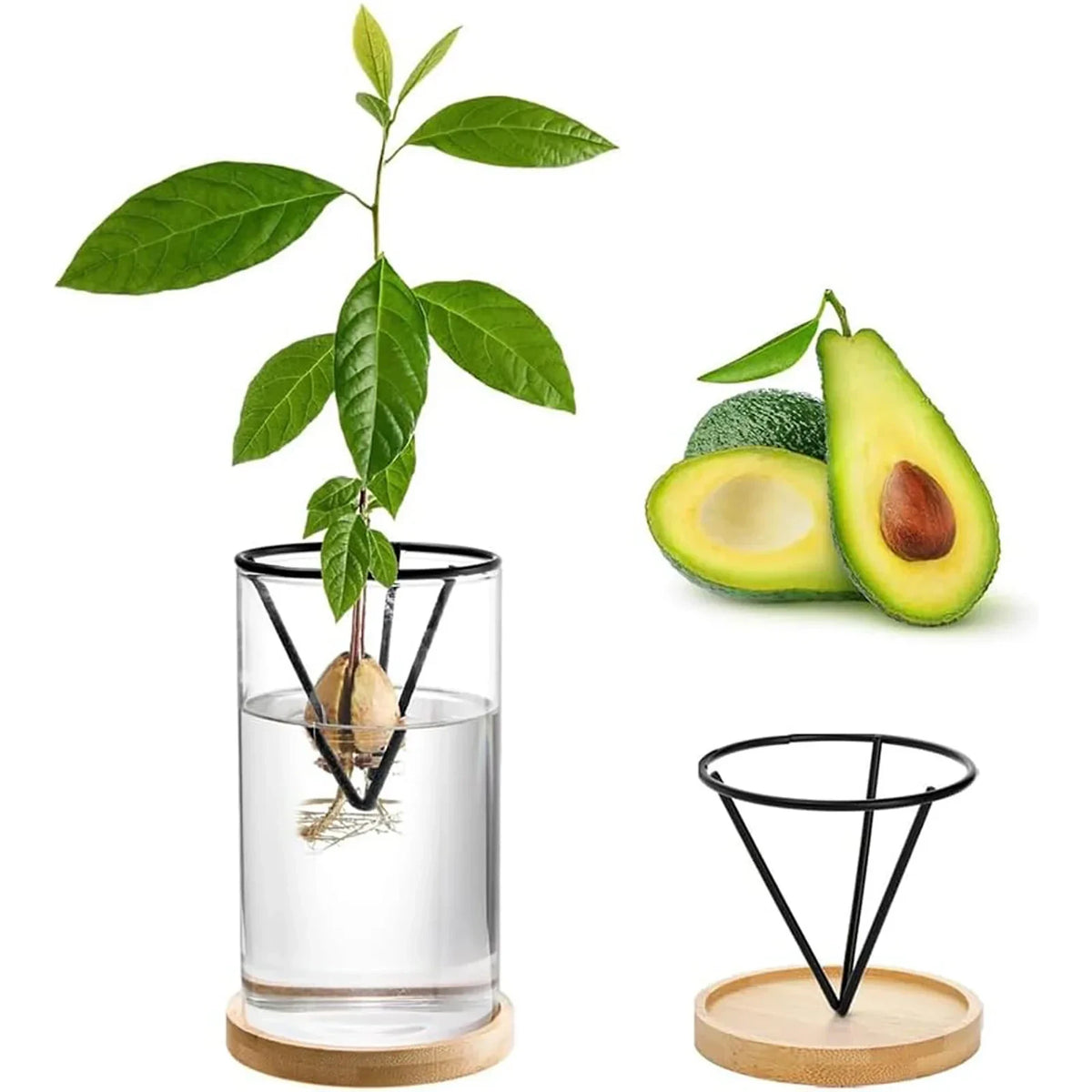 Vaso Decorativo Vidro, peça de vasos decorativos da VivaCasa — imagem 6