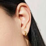 Brincos Quiaura No. 1001