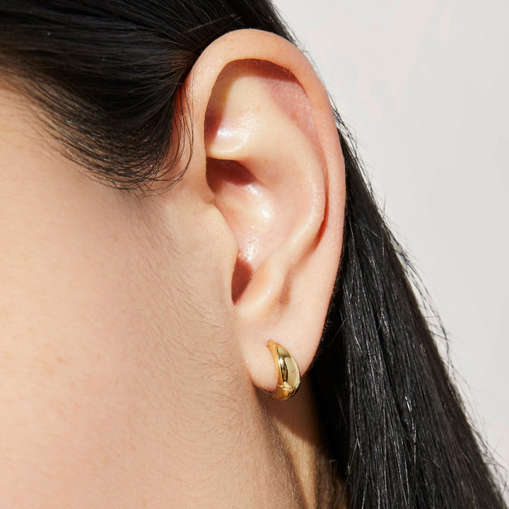 Brincos Quiaura No. 1001