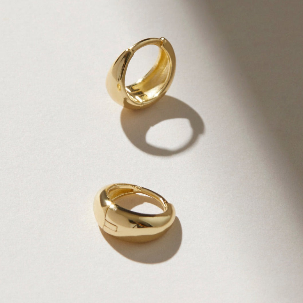 Brincos Quiaura No. 1001