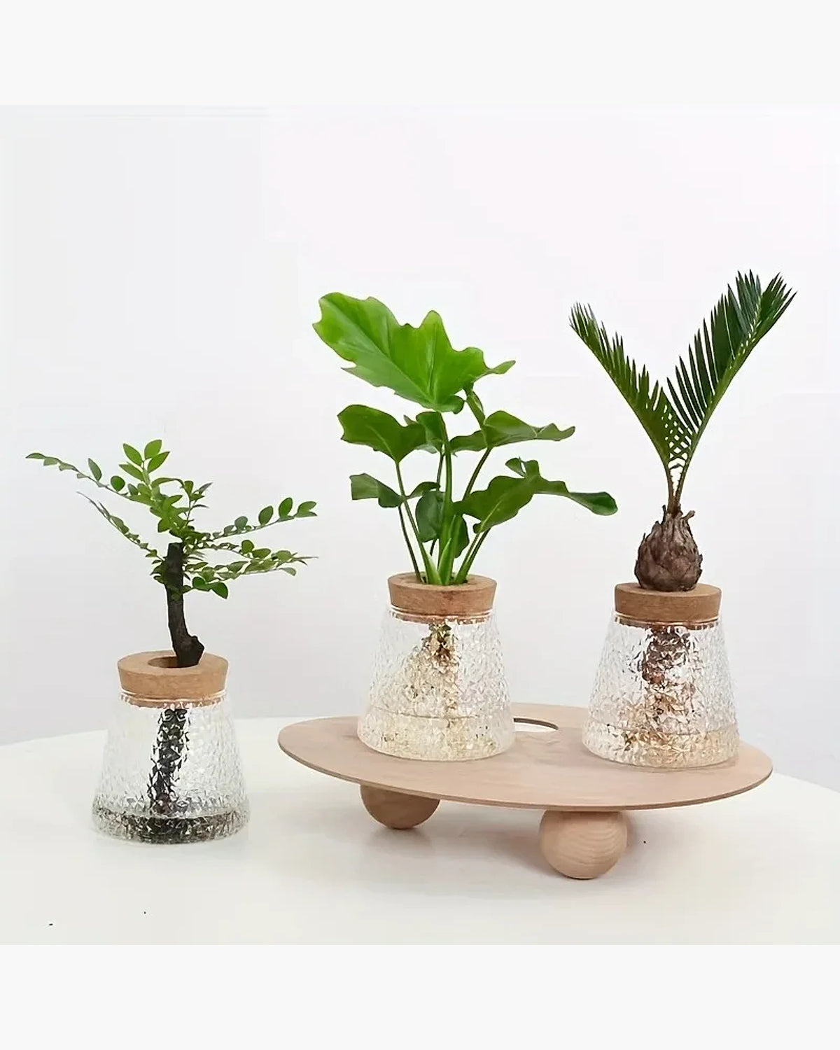 Vaso Decorativo Nórdico Vidro, peça de vasos decorativos da VivaCasa