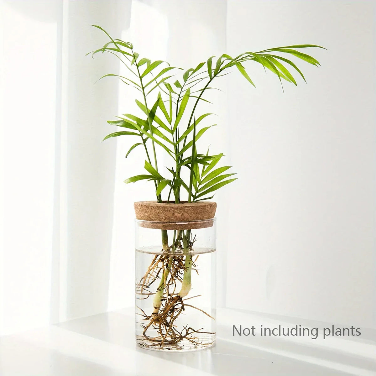 Vaso Decorativo Vidro, peça de vasos decorativos da VivaCasa — imagem 12