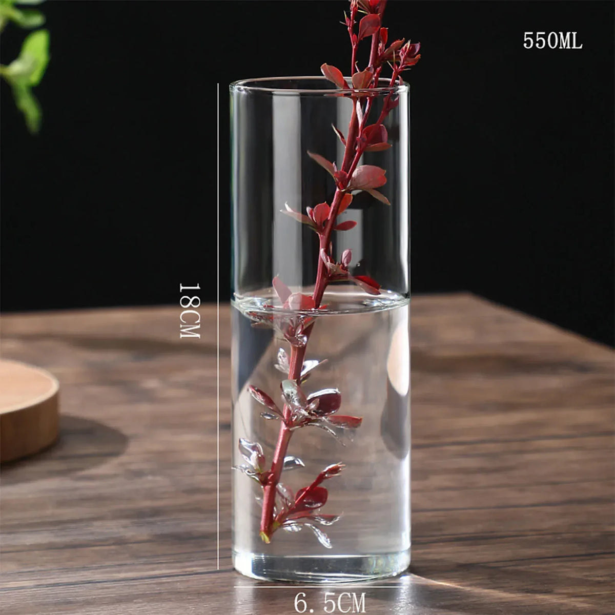 Vaso Decorativo Vidro, peça de vasos decorativos da VivaCasa — imagem 17