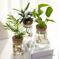 Vaso Decorativo Vidro, peça de vasos decorativos da VivaCasa — imagem 2