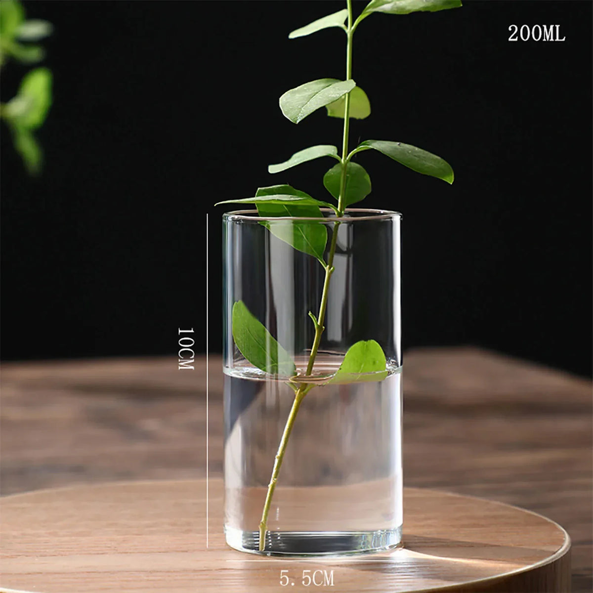 Vaso Decorativo Vidro, peça de vasos decorativos da VivaCasa — imagem 20