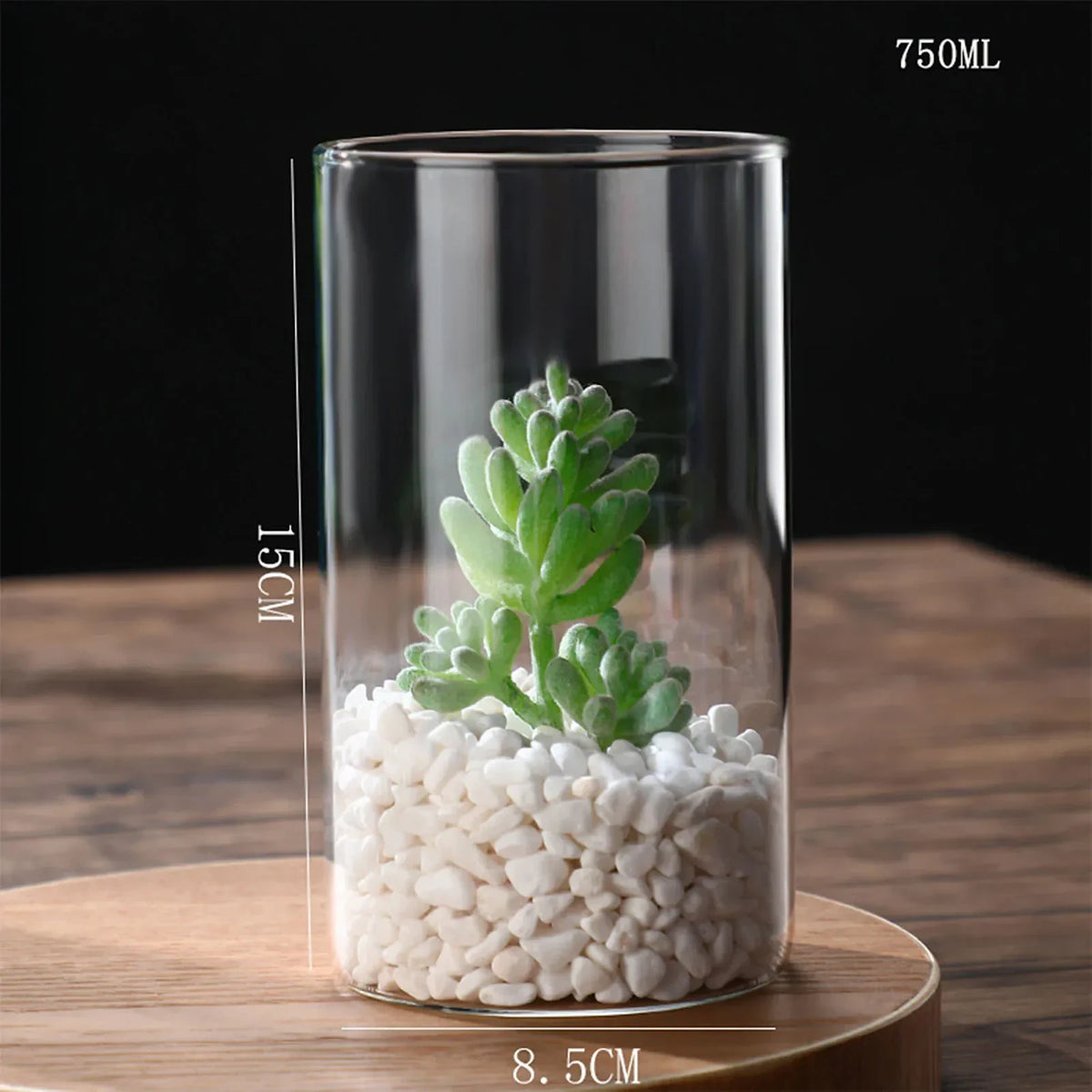 Vaso Decorativo Vidro, peça de vasos decorativos da VivaCasa — imagem 23