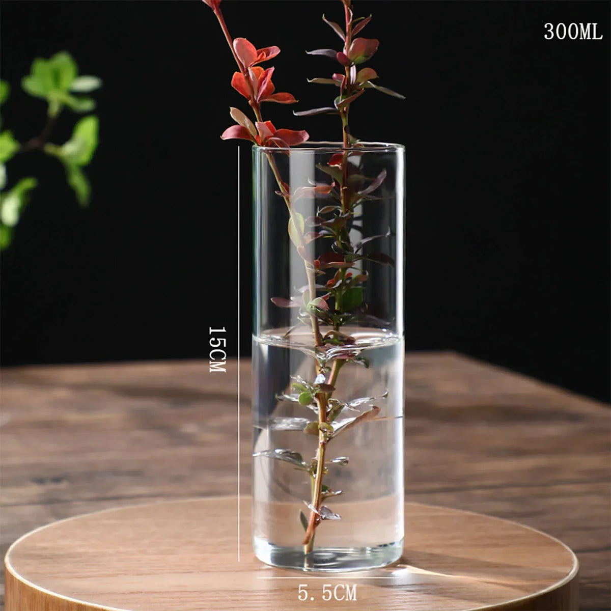 Vaso Decorativo Vidro, peça de vasos decorativos da VivaCasa — imagem 24