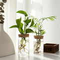 Vaso Decorativo Vidro, peça de vasos decorativos da VivaCasa — imagem 3